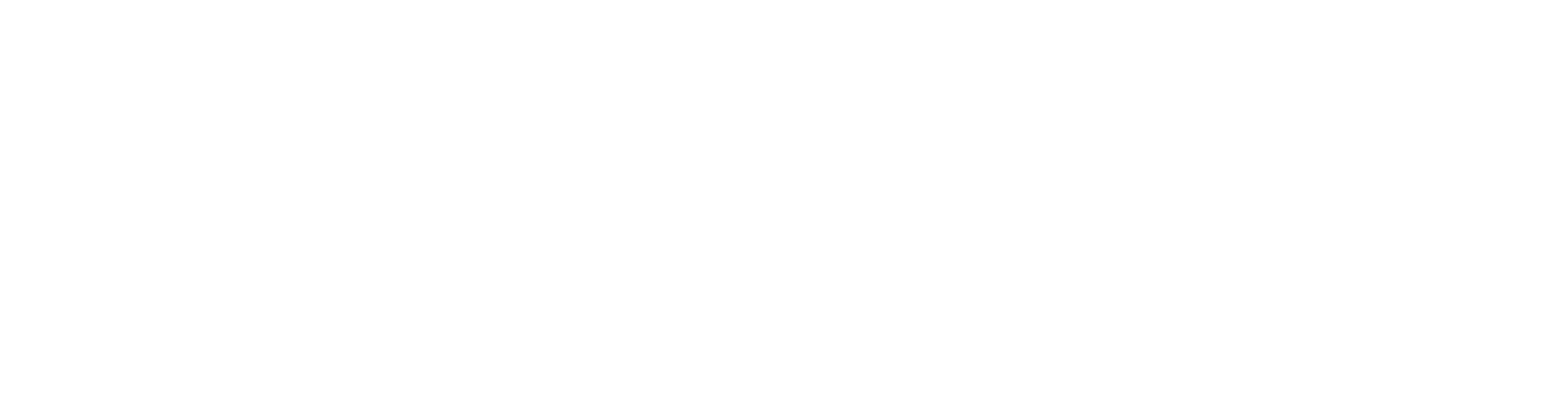 Rīgas lidostas logo